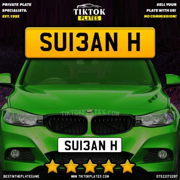 SUI3AN H - Image 4